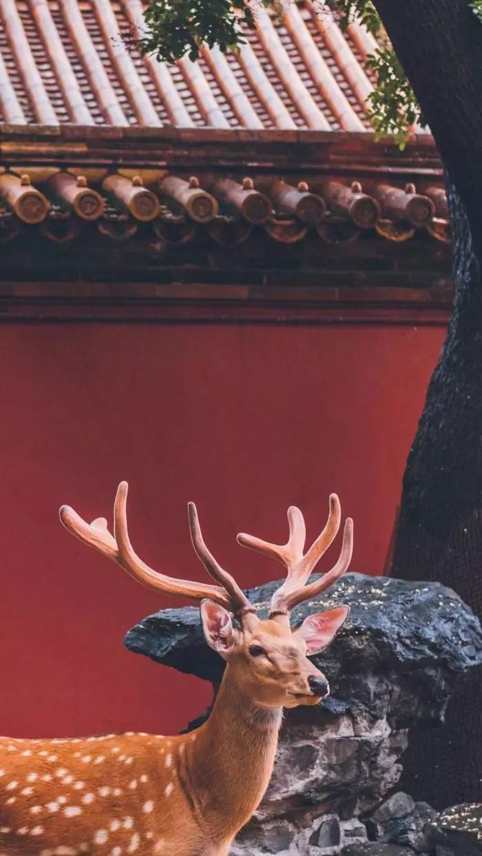 微信图片_20190815114534.jpg 微信图片_20190815114534.jpg